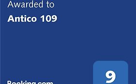 Antico 109